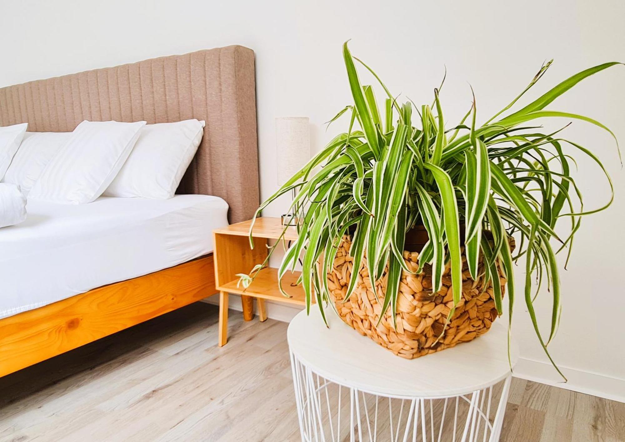 Apartment Naehe Airbus Manching Zewnętrze zdjęcie